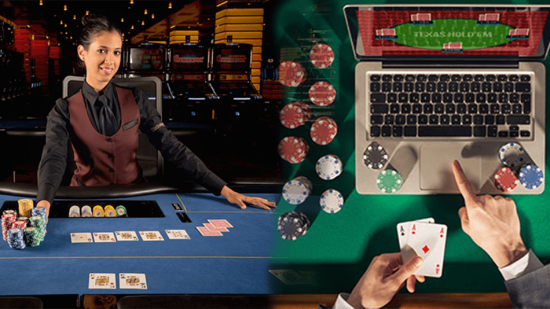 Diving into Luck: The World of Live Casino and Lottery