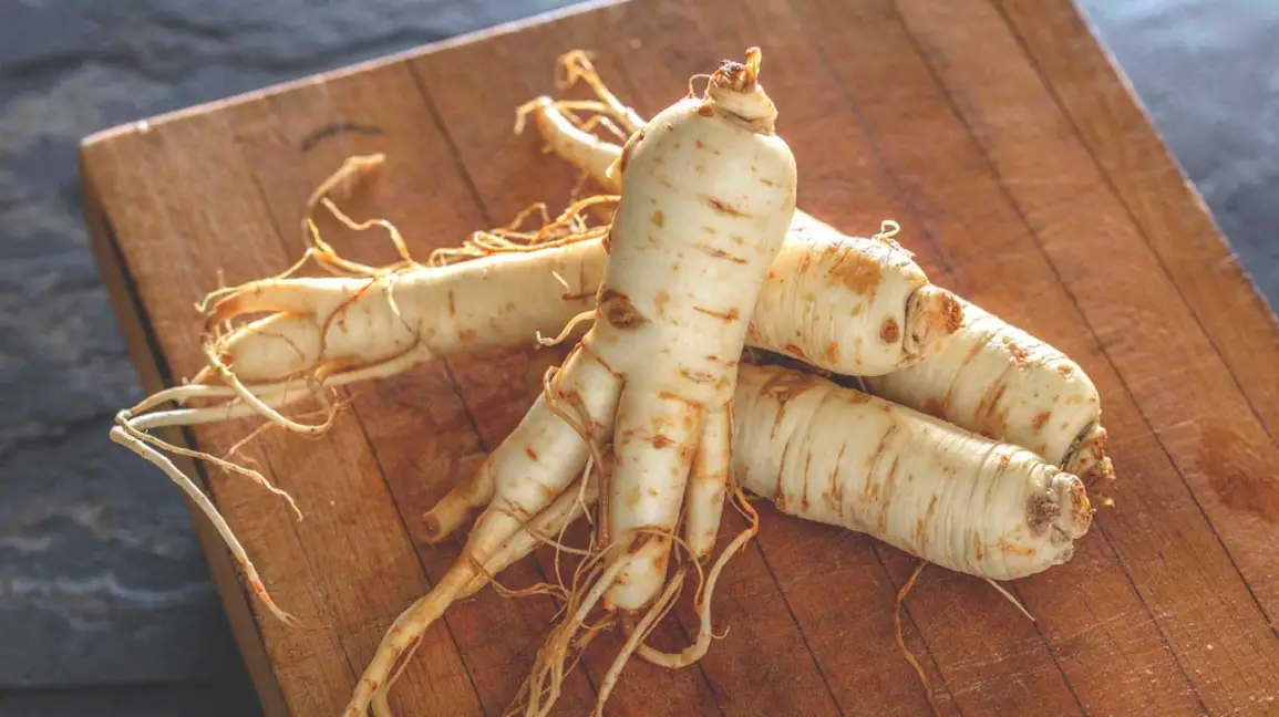 Empower Your Life with Korean Ginseng: Nature’s Gift to Health