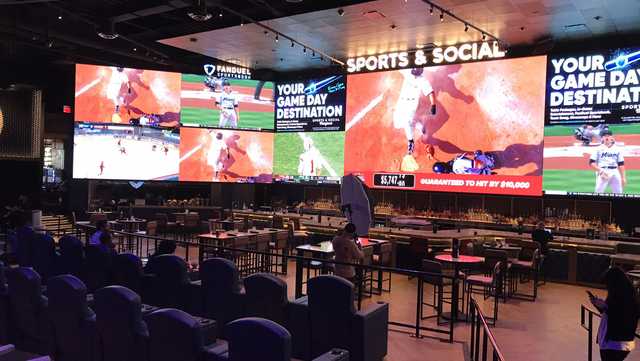 Live Sports Casino: A World of Possibilities