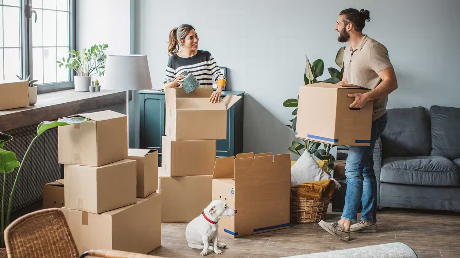 Moving Company Sales Jobs: A Dynamic Career Path with Growth Potential