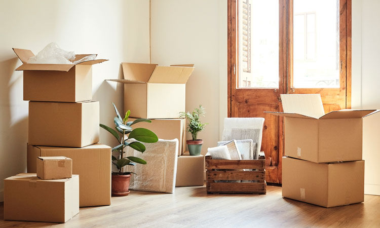 The Essential Guide to Moving Services: Everything You Need to Know